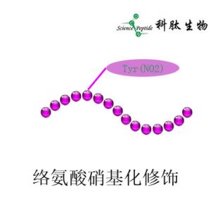 硝基化多肽|络氨酸硝基化修饰|Y(NO2)
