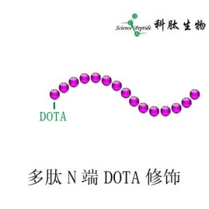 DOTA多肽|多肽DOTA修饰|DOTA peptide