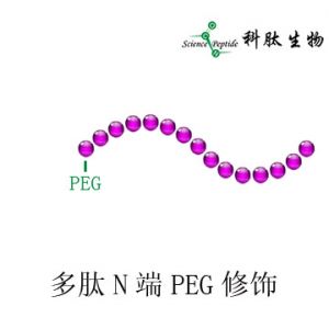 PEG多肽|多肽PEG修饰|PEG peptide