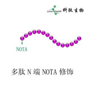 NOTA多肽|多肽NOTA修饰|NOTA peptide