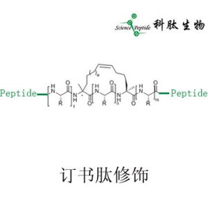 订书肽|多肽订书环修饰|Stapling peptide