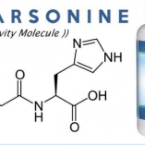 肌肽|CAS 305-84-0|L-Carnosine