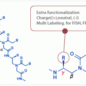 PNA合成|肽核酸合成|Custom PNA synthesis