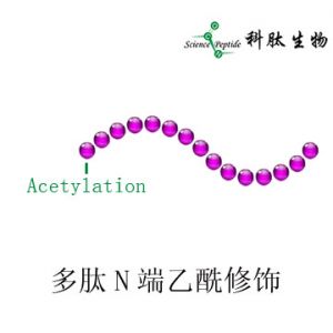 乙酰化多肽|多肽N端乙酰修饰|Acetylation peptide Lys(Ac)