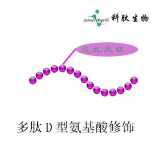 D型氨基酸多肽|多肽D型氨基酸修饰|D-AA peptide